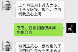 新河企业清欠服务