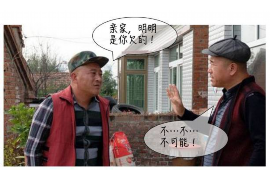 新河企业清欠服务